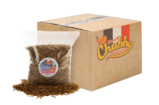2lb French Grown Chubby Dried Mealworms
