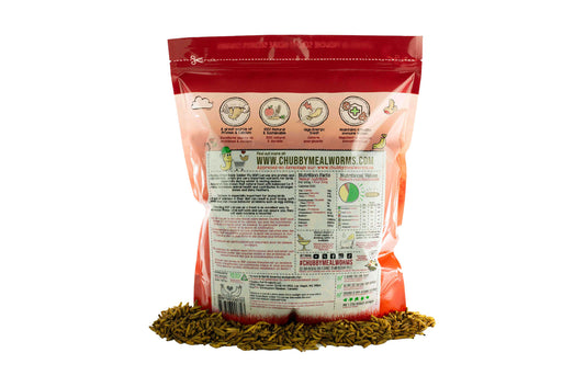 2LB Canadian Grown Chubby Dried Black Soldier Fly Larvae