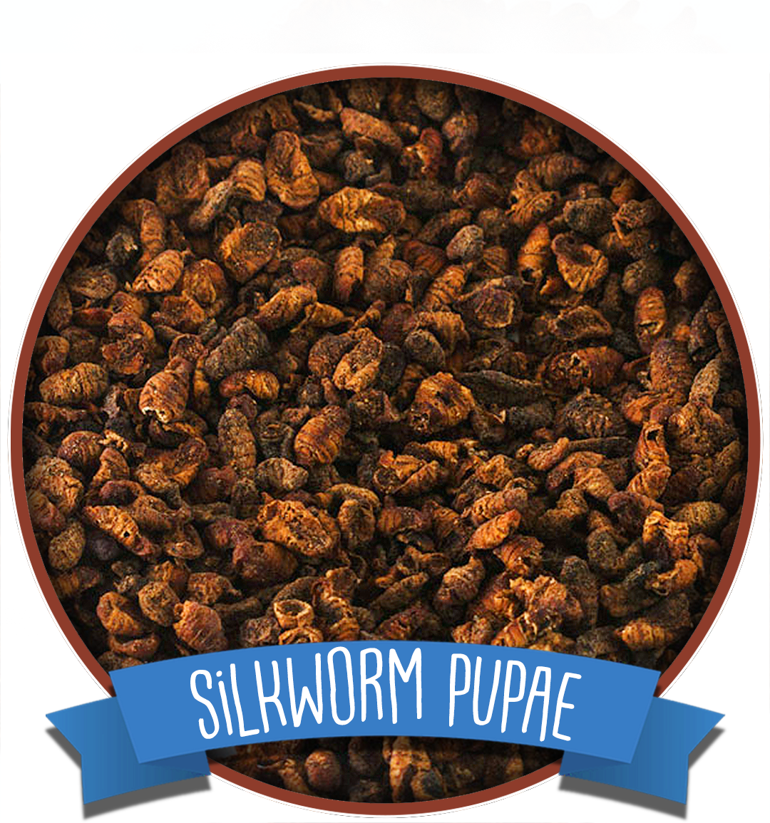 Dried Silkworm Pupae