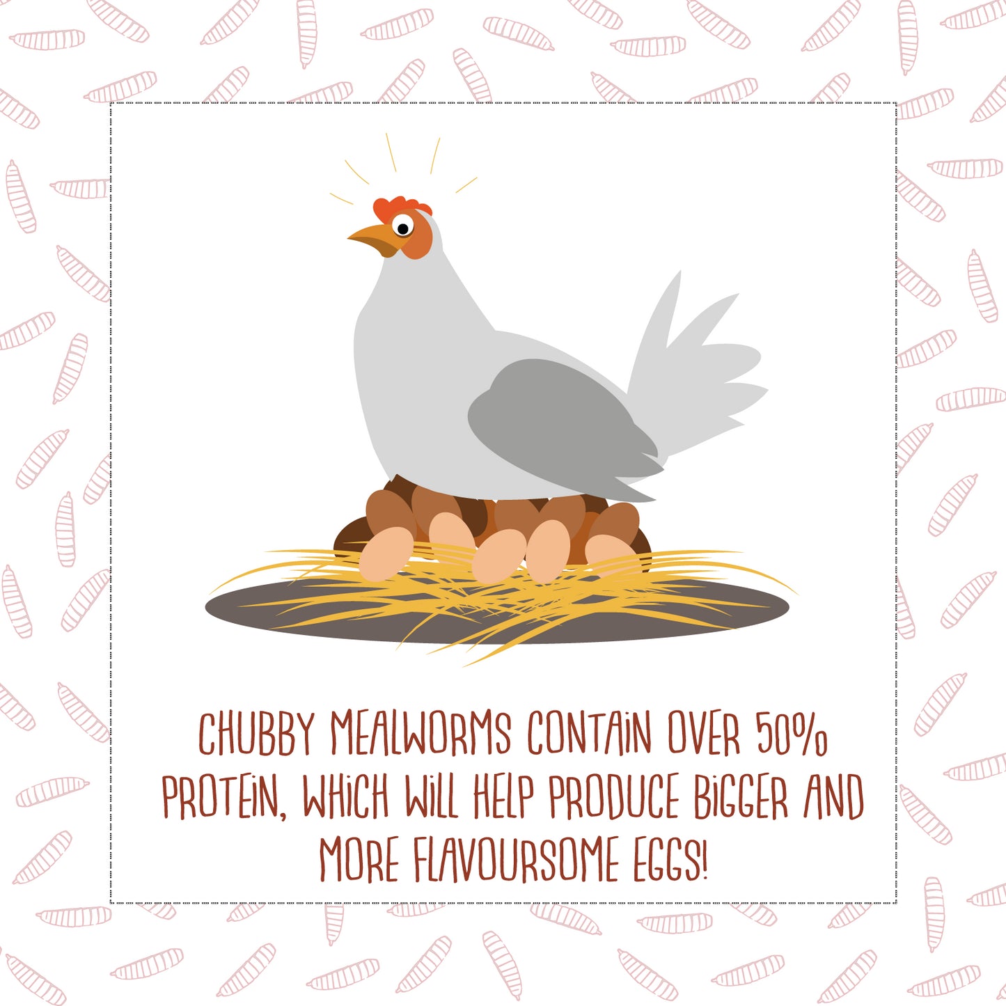 Chubby Dried Mealworms 5Lbs