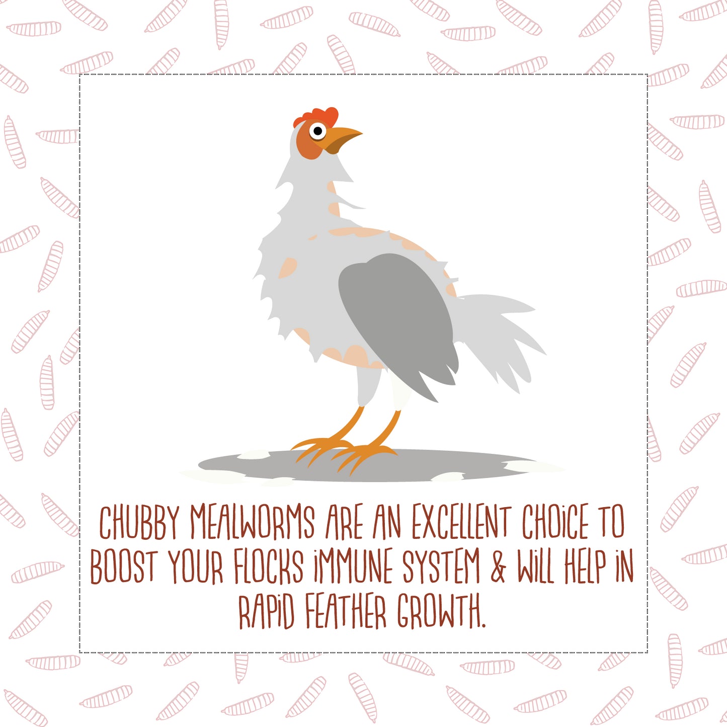 Chubby Dried Mealworms 15Lbs