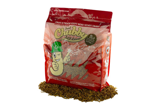 5Lb Canadian Grown Chubby Dried Black Soldier Fly Larvae