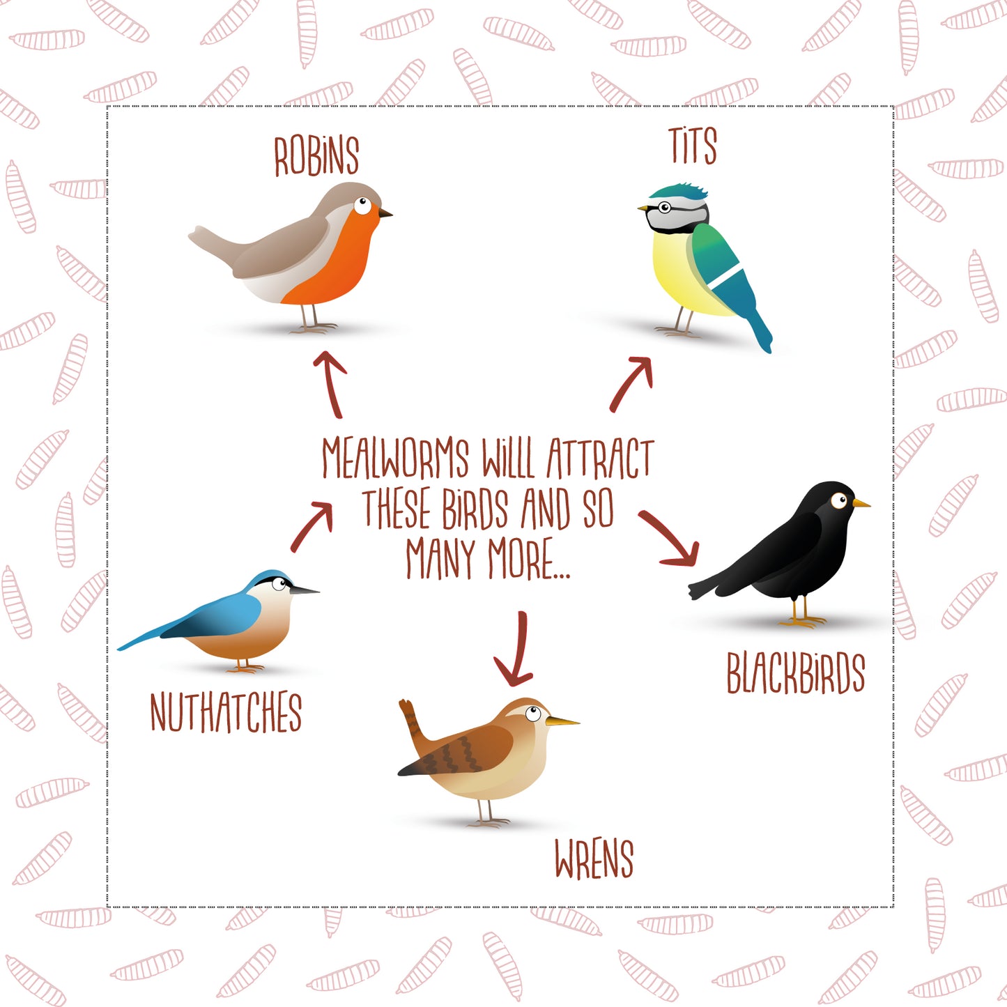 Chubby Dried Mealworms 11Lbs