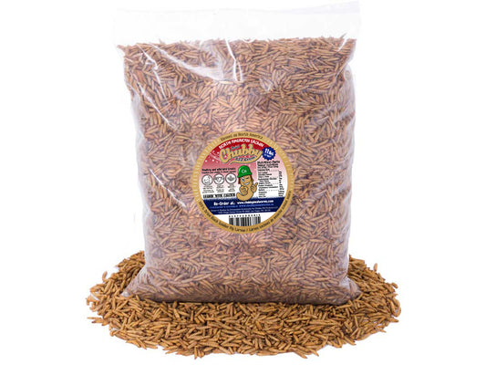 11LB Canadian Grown Chubby Dried Black Soldier Fly Larvae