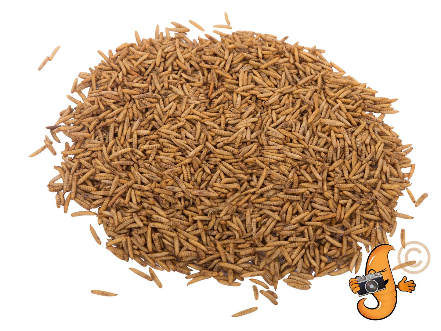 Chubby Dried Dried Black Soldier Fly Larvae 5lb