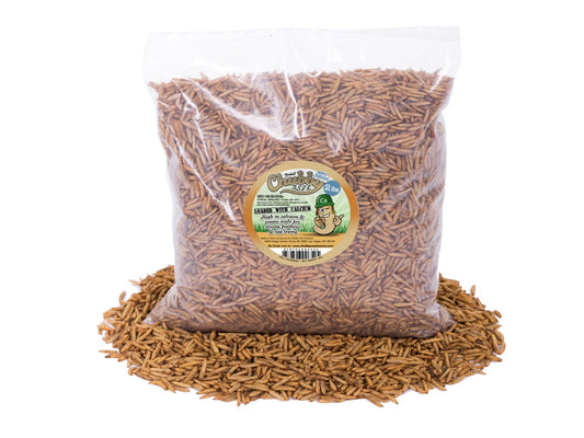 Chubby Dried Black Soldier Fly Larvae 2lb