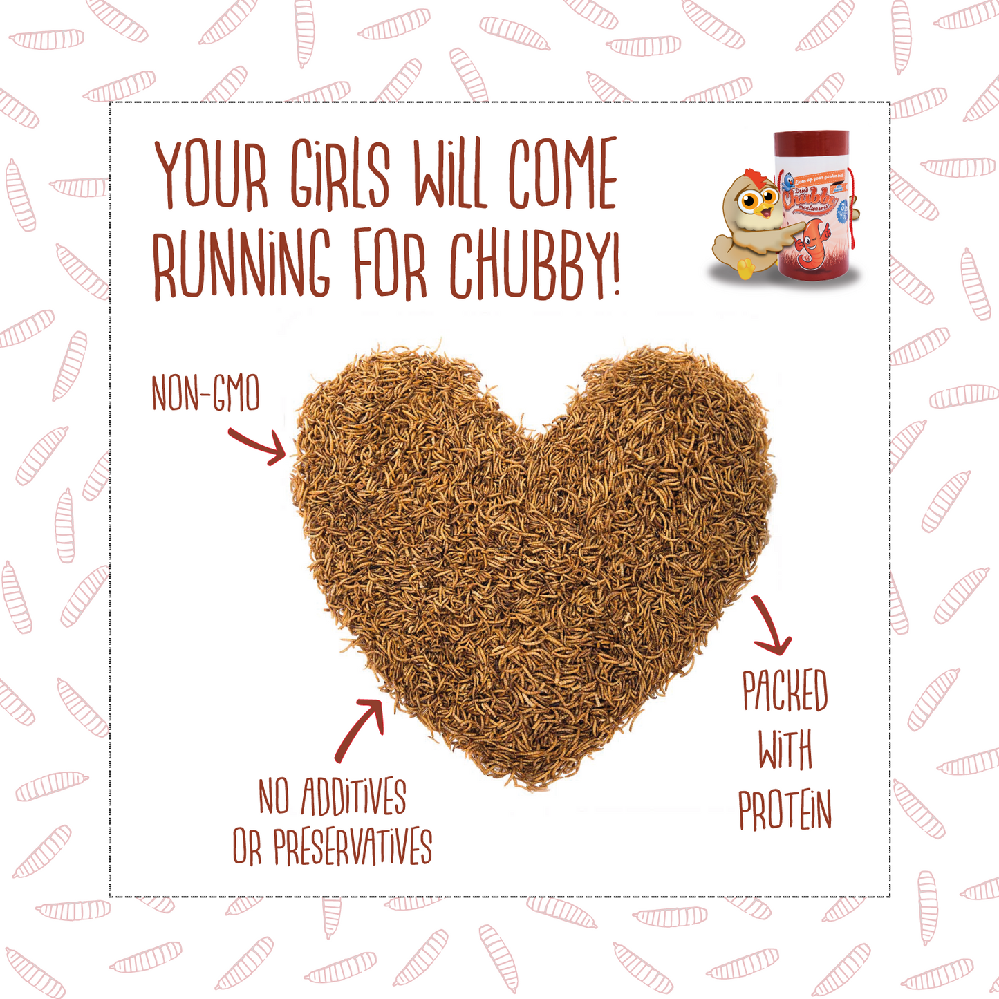 Chubby Dried Mealworms 2Lbs